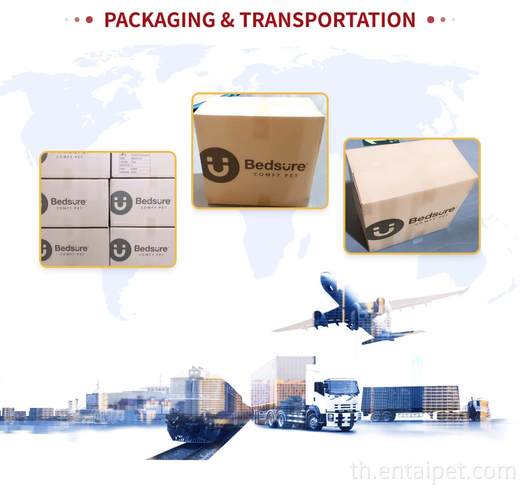 สัตว์เล็กแมวบ้านสัตว์เลี้ยงผู้ให้บริการขายร้อน